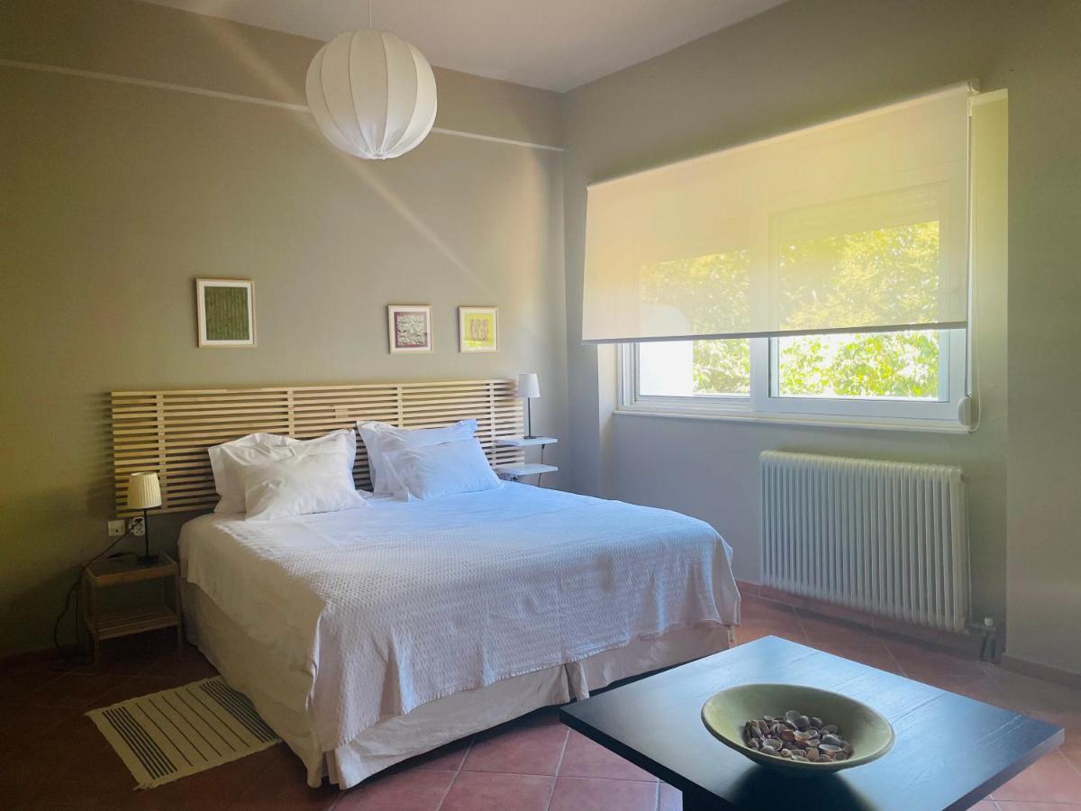 Rex Hotel - Bebeka'S Захаро Екстериор снимка